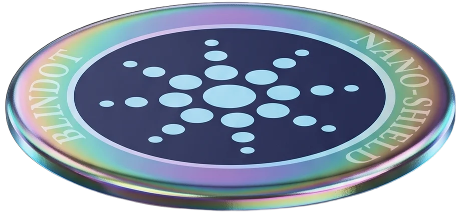 Capa 1 — cara holográfica del chip BLINDOT